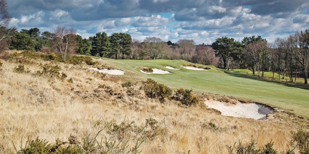 Drama on a Dorset heathland