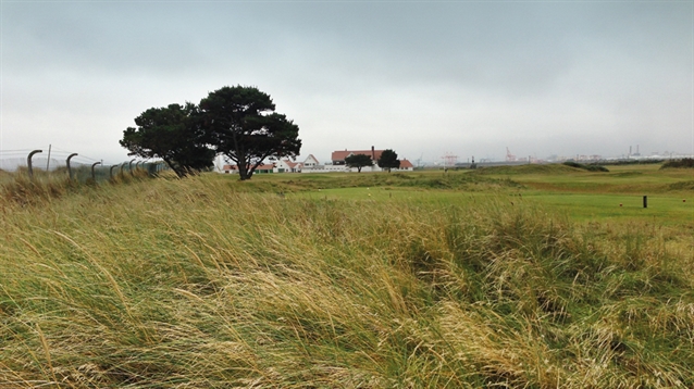 Course management: Waving not drowning at Royal Dublin