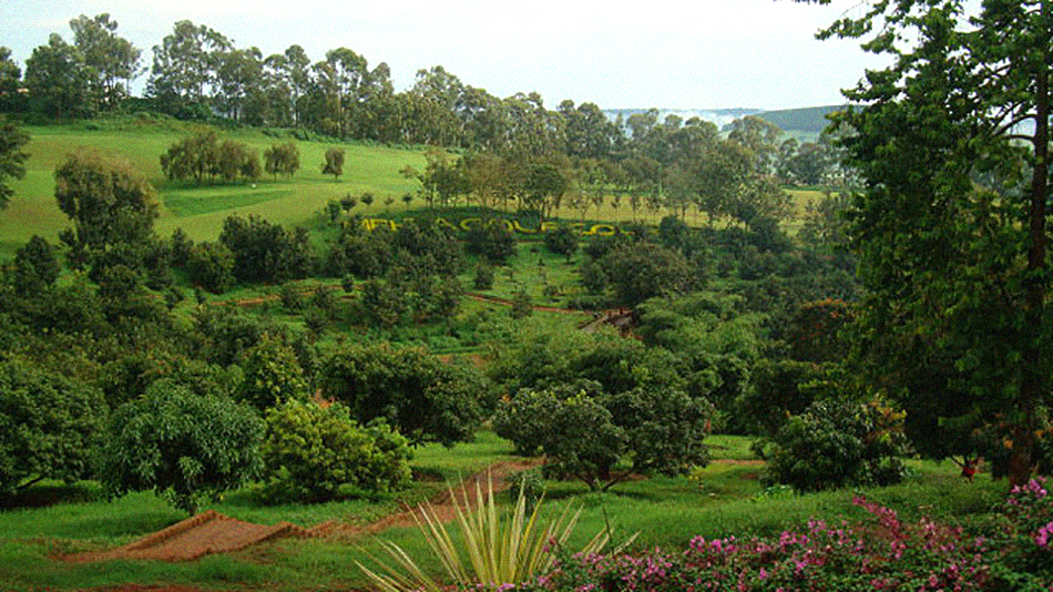 David Hemstock begins extension of Mehta Golf Club layout