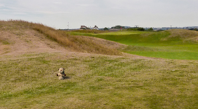 Gopher Watch Competition - Spring 2016