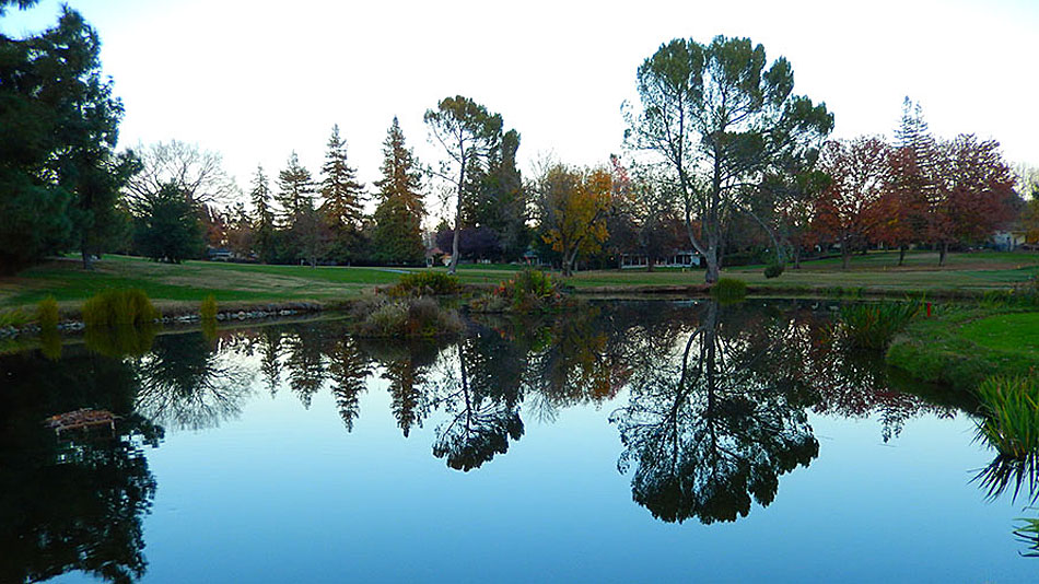 RTJ II Golf Course Design to lead North Ridge CC renovations