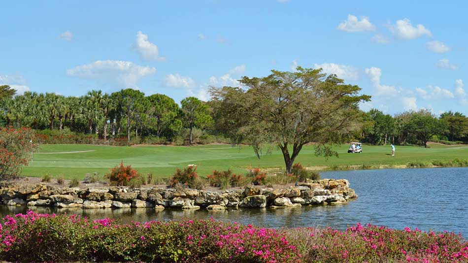 Rees Jones hired to lead renovation project at Shadow Wood CC