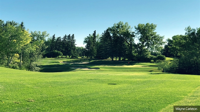 Earl Grey GC: An opportunity to create a stronger course