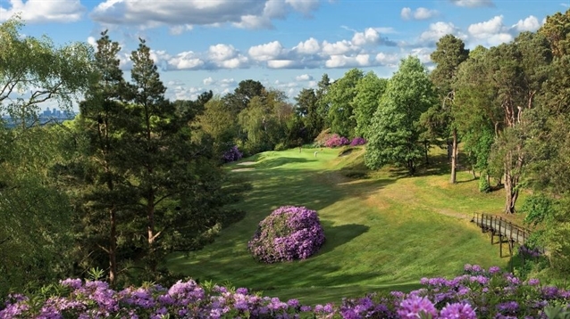 The irresistible variety of British courses