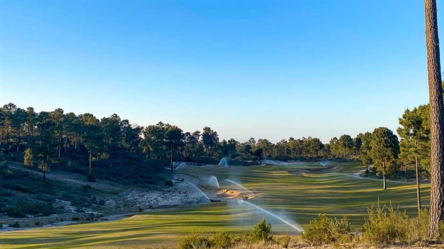 Comporta Dunes: Back from the dead