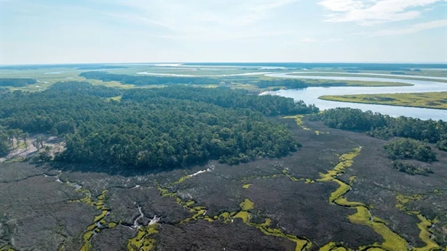 New Coore & Crenshaw course to open at Palmetto Bluff in late 2025