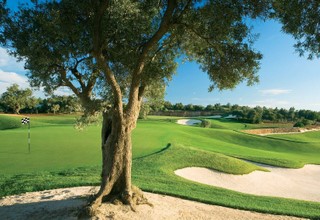 Faldo Course, Amendoeira