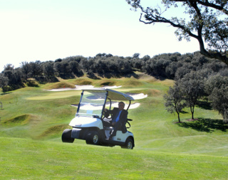 New cart fleet for Madrid club