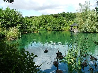 EU to ban pond plant chemicals