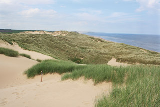 Trump course build now underway