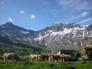 First 'pop-up' course for Switzerland