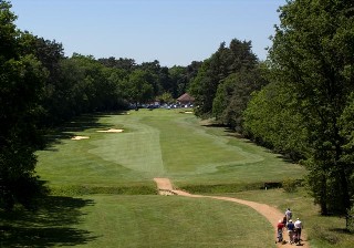 Heath restoration at East Berkshire