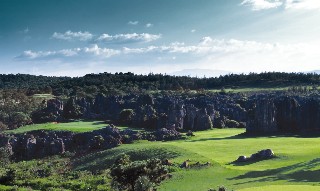 China's Stone Forest now open