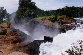 Golf in Ugandan national park?