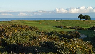 TPL renovating Vardon’s course