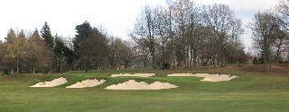 Wild restoration at Colt's Tandridge