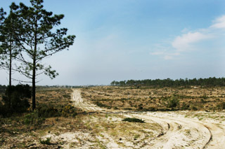 Fazio designs Portugal Ryder course