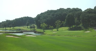 Sanford wins 54 hole Japan reno