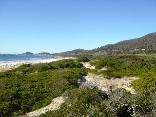 New Tasmania dune holes approved