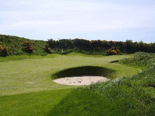 Fescue overseed improves Arklow