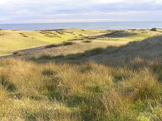 Work underway at Ocean Dunes