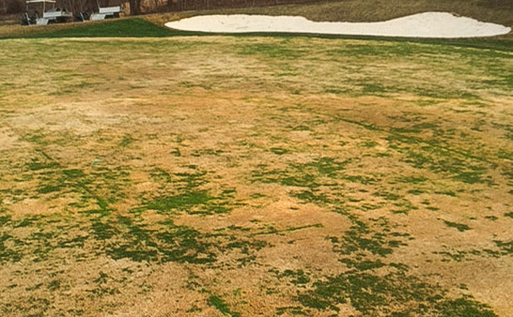 Markland Wood Golf Club nears full recovery from flood and storm damage 