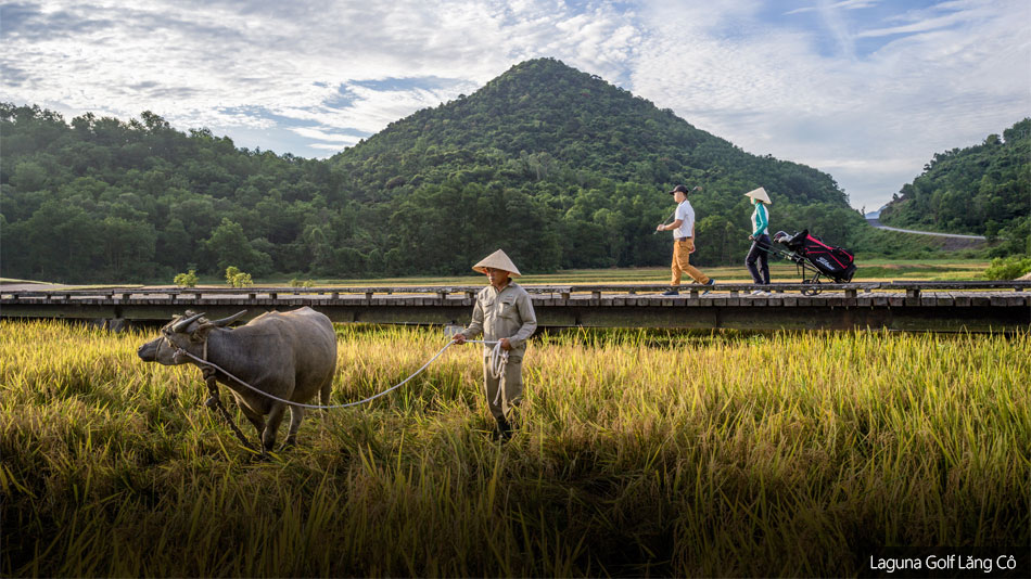 Holing out: Where the buffalo roam