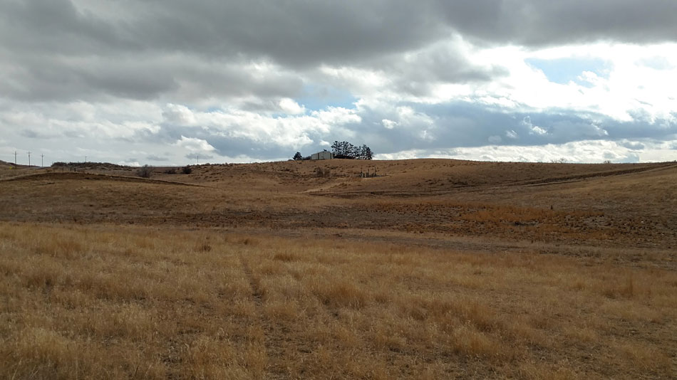 New public course to be built on Colorado dairy farm