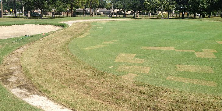 Next phase of South Shore Harbour course renovation underway