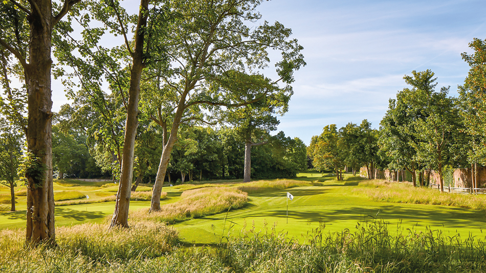 Golf At Goodwood has a new practice facility designed by James Edwards and built by MJ Abbott