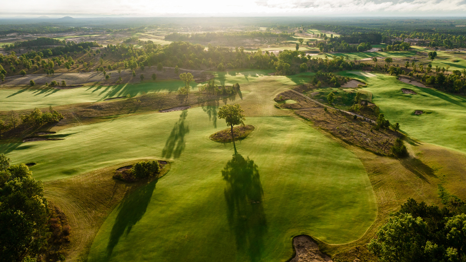 Sedge Valley Tom Doak