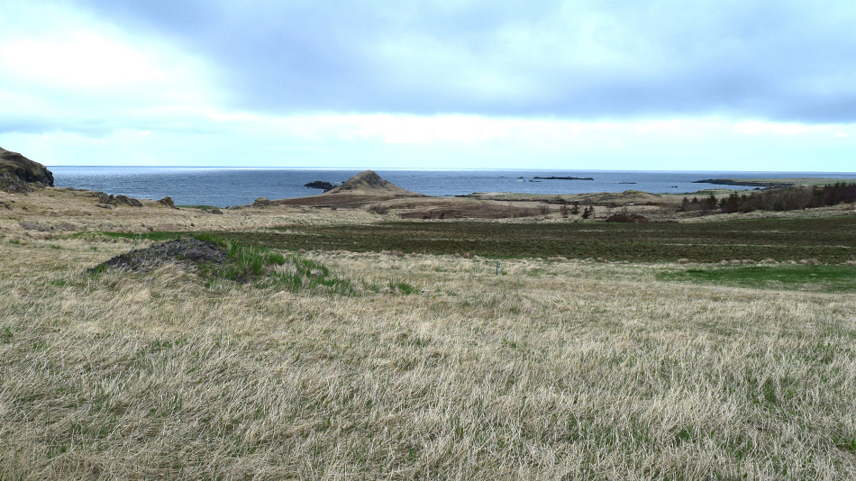 Tony Ristola Brautarholt Golf Club Iceland